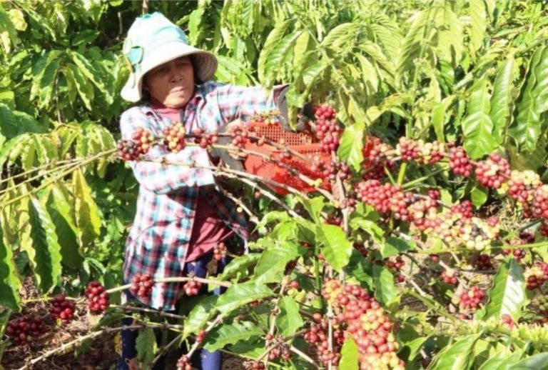 photo_2026-01-05_20-03-22